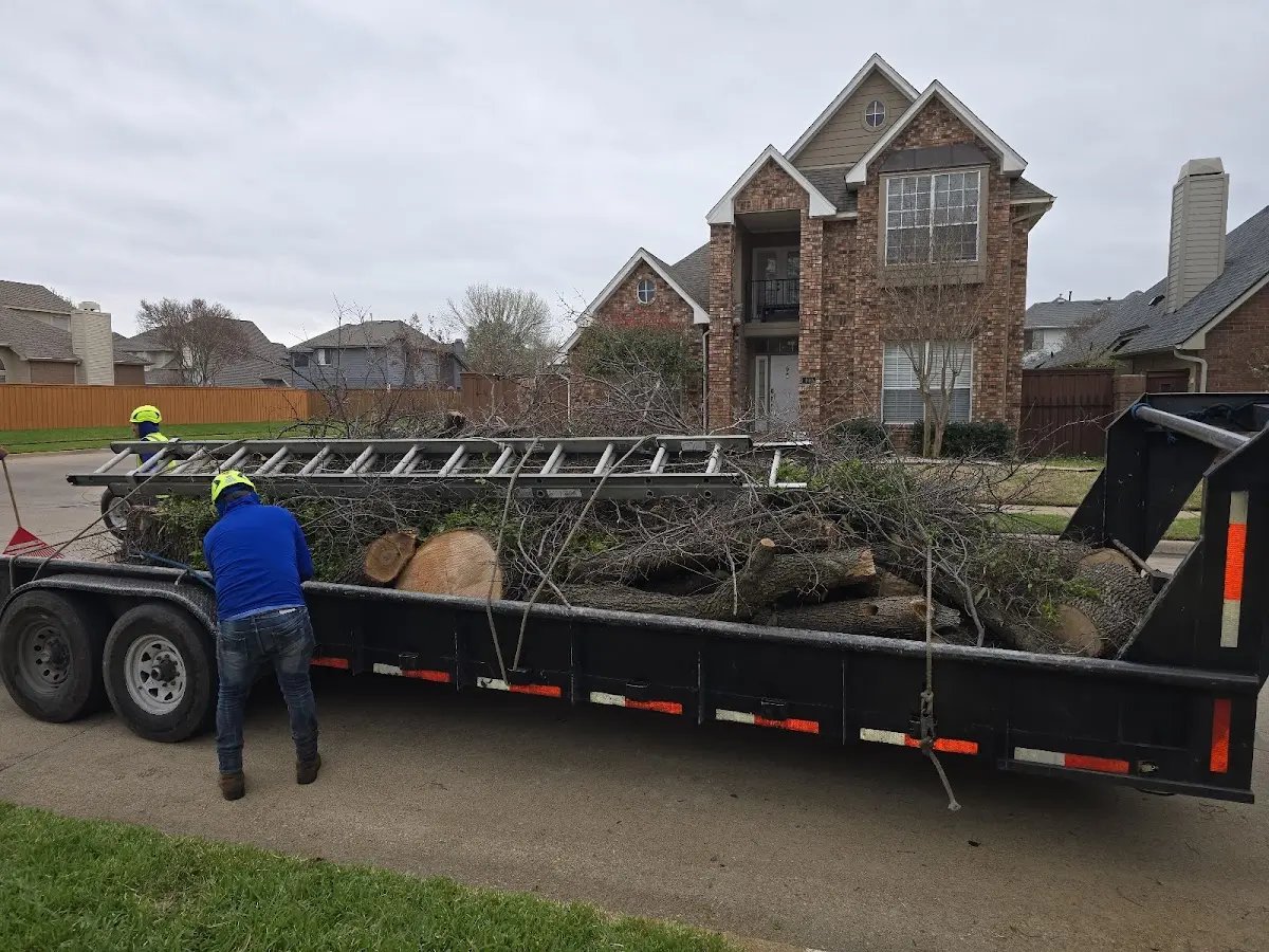 Expert Crown Reduction with proper safety equipment in Lower Lake